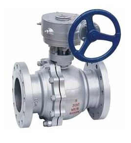 Q341F,Q341Y���P�΁݆���m���y